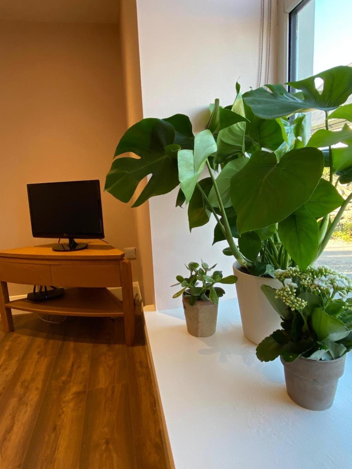 Apartamento Croagh Patrick Studio Murrisk Exterior foto